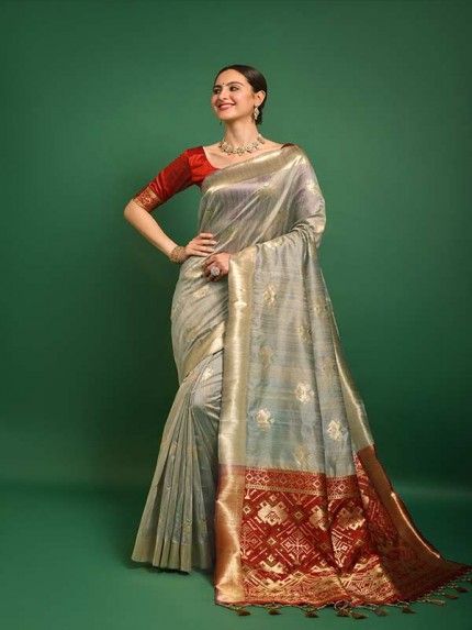 Premium Tussar silk Patola weaving saree with zari woven border