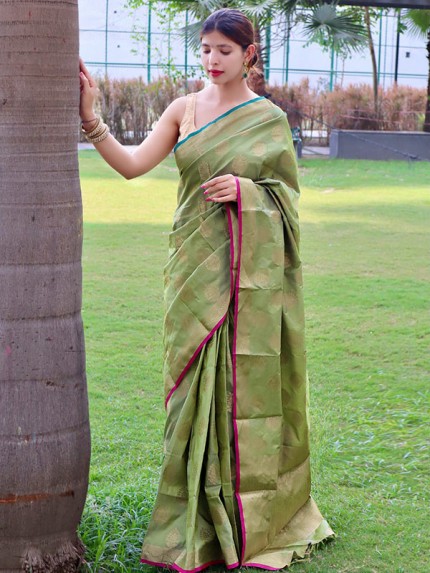 Elegant Look Two tone Soft Saree with golden Zari Weaving Border